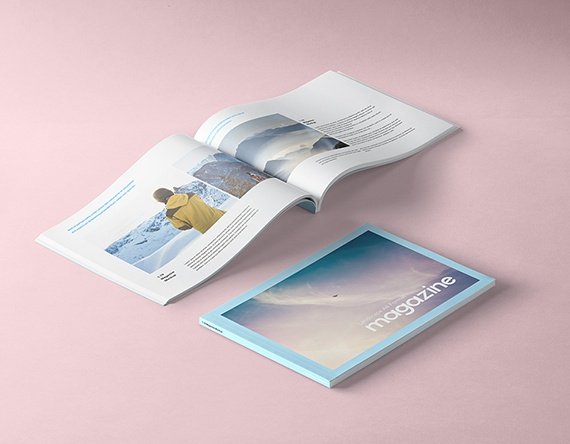 Portfolio Details