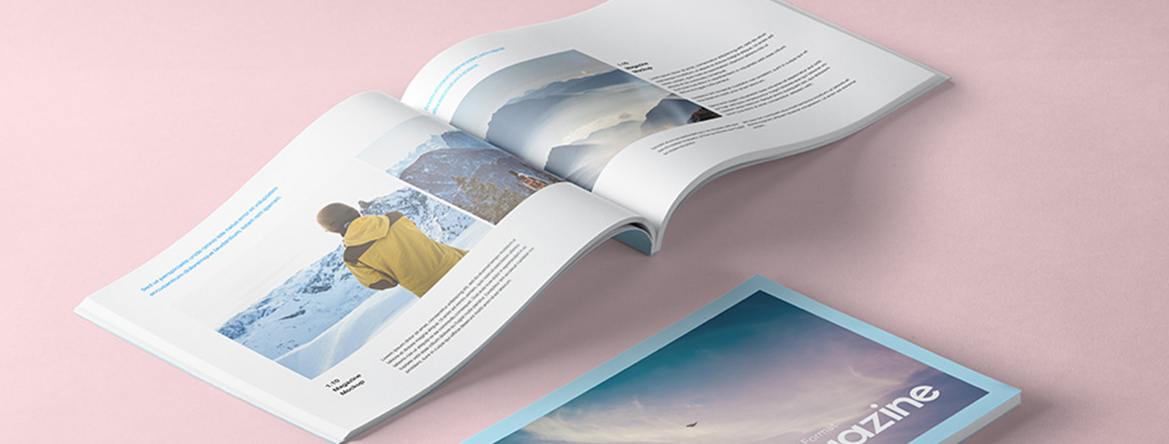 Portfolio Details