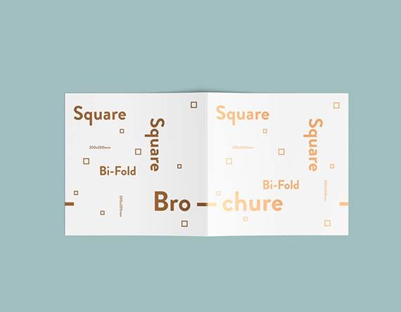 Portfolio Details