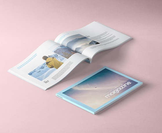 Portfolio Image